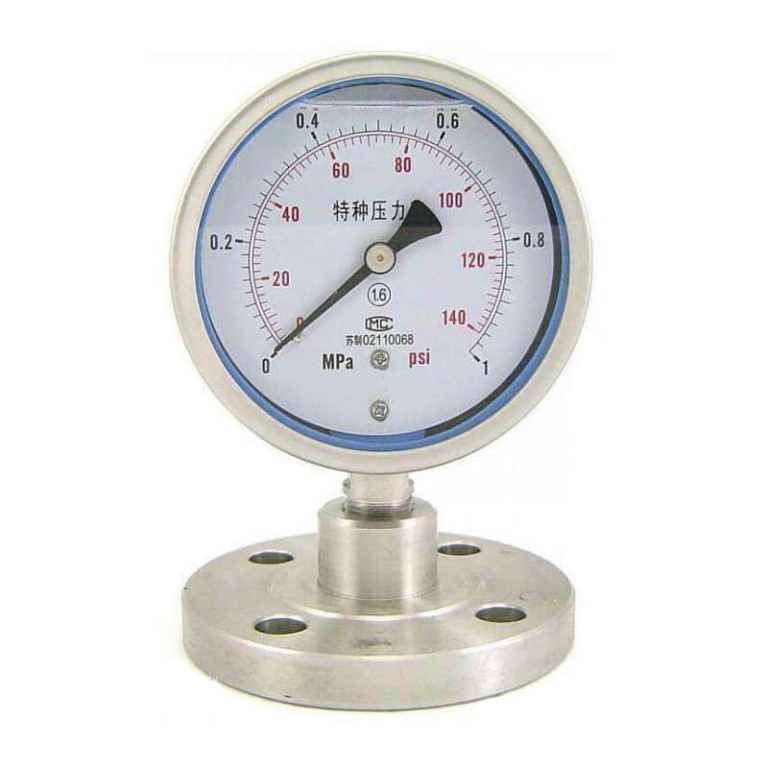 diaphragm seal pg 1-Diaphragm-Seal Pressure Gauge
