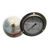 vibration proof pg 01-Vibration-Proof Pressure Gauge
