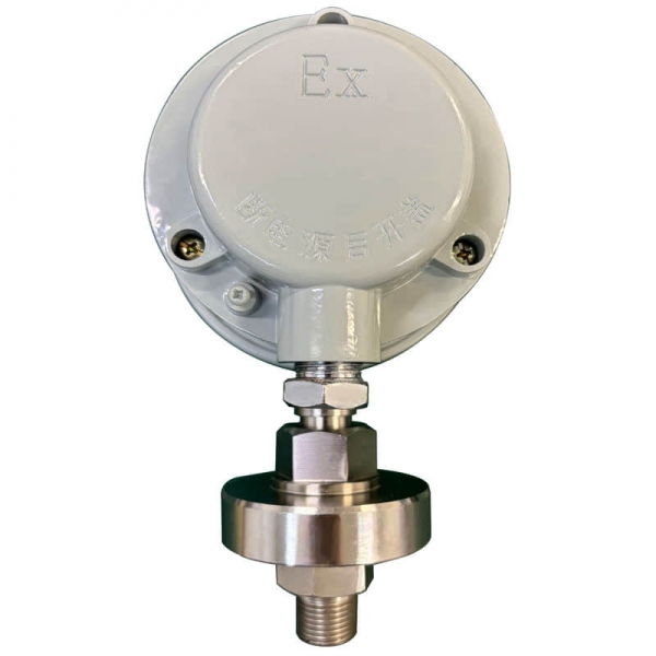 explosion proof electrical contact pressure gauge's back view
