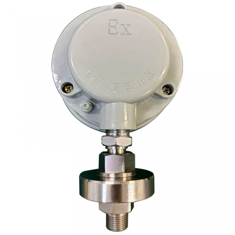 explosion proof electrical contact pressure gauge's back view